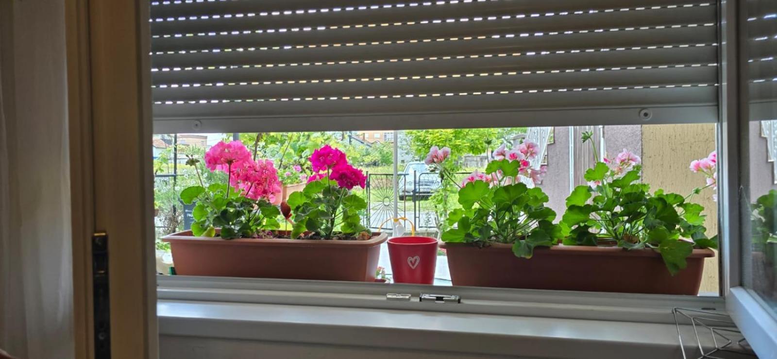 Apartman Tina ザグレブ エクステリア 写真